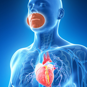 Inflammation: the Link Between Gum Disease and Cardiovascular Disease