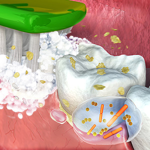NewUnderstandingofBacteriaPromisesBetterApproachestoOralCare