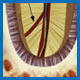 Accessory Root Canal