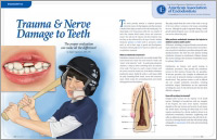 Dental Injuries - Dear Doctor Magazine