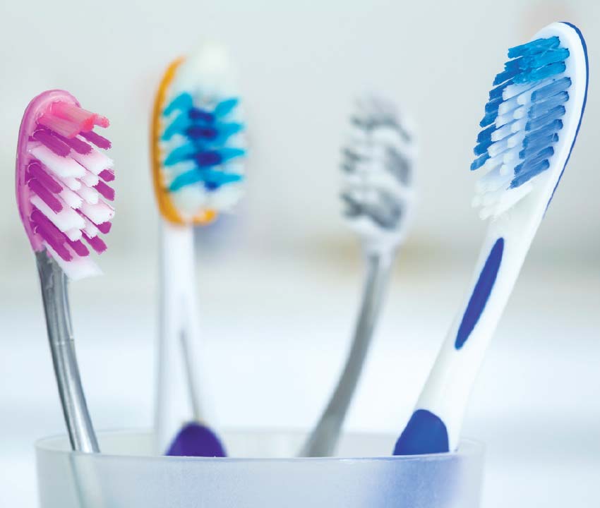 Sizing up toothbrushes.