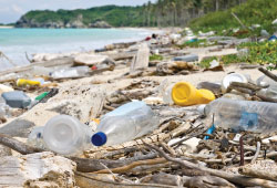 Disposing plastic bottles.