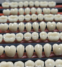 Prosthetic teeth.