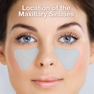 Location of the maxillary sinuses.