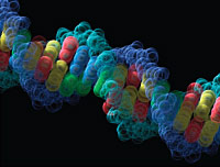 A representation of a strand of DNA material.