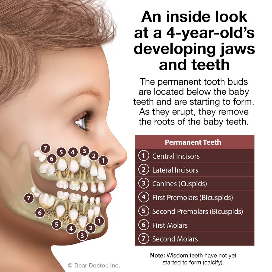 Pediatric Dentistry Drs Lamberth Lamberth General Dentistry 