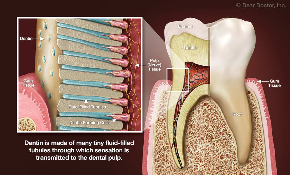 Tooth Pain | Dental Innovations | Mark D. Shirley, DDS | Oklahoma City ...